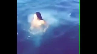 bikini cachonda